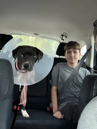 Zeus