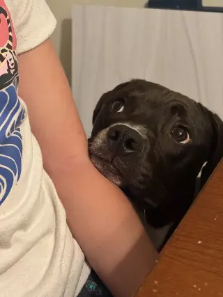Zeus