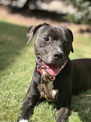 Zeus