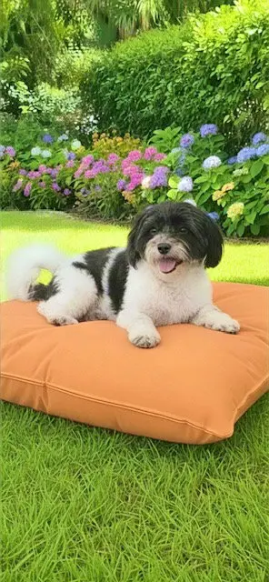 Milo