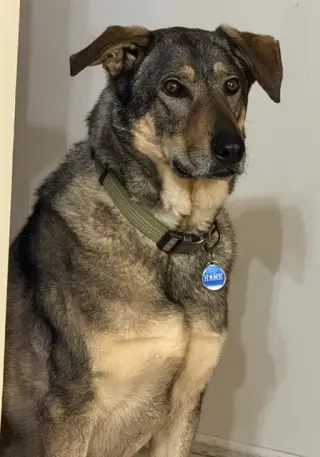 HANK