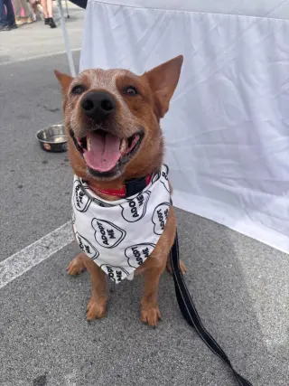 Meatball
