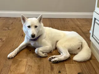 Luna