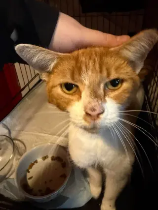 Reginald "Reggie"