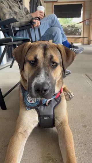Duke