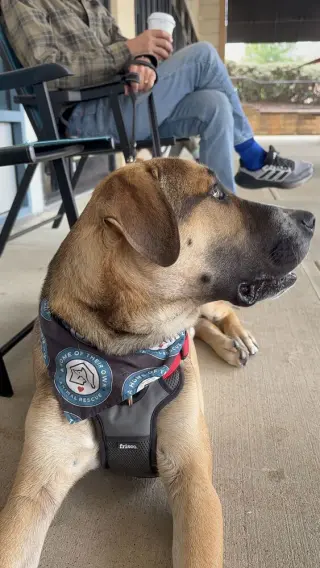 Duke