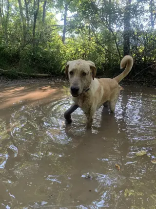 Cash