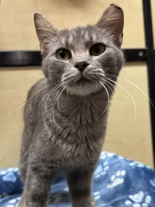 Matilda