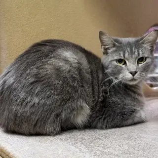 Matilda