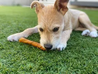 Sadie aka Lucy