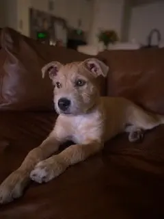 Sadie aka Lucy