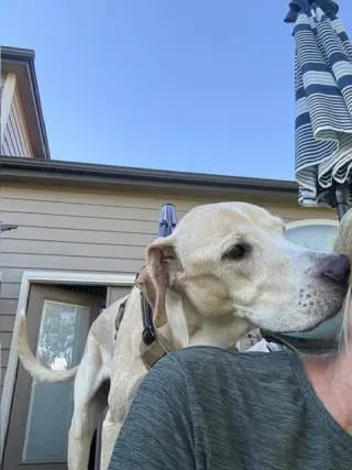 Cooper