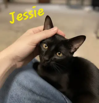 Jessie