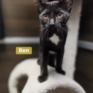 Ben