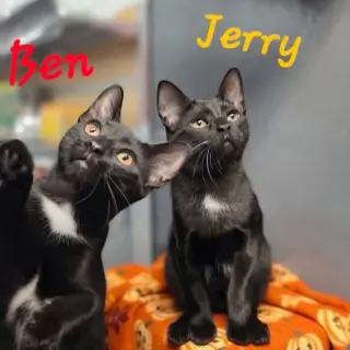 Ben