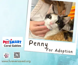 Penny