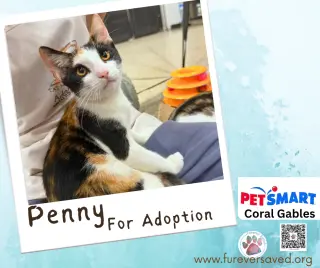 Penny
