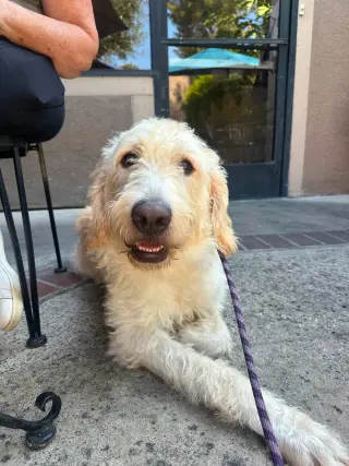 Rudy