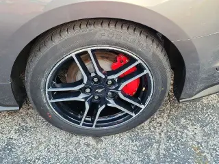 Ford Mustang 2023 EcoBoost 2dr Fastback