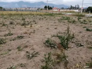 Vendo terreno  Chaltura-Imbabu