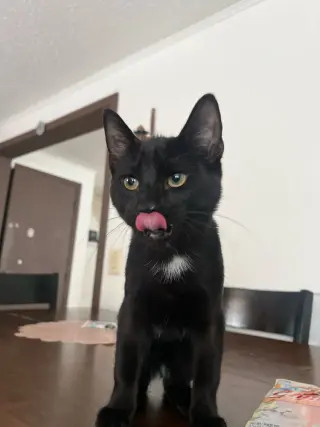 Blacky