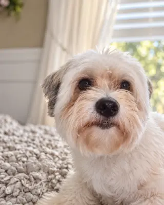 Sammy