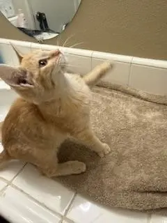 Julius