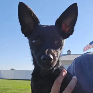 Paco