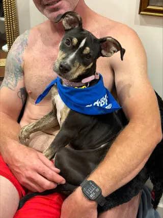Sammy Star