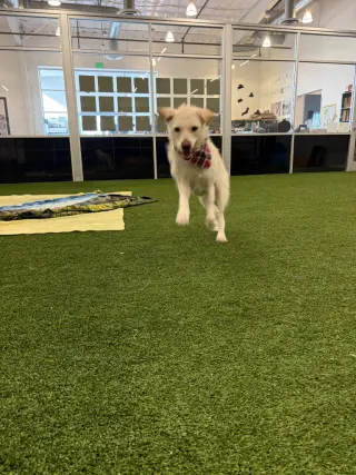 Luna