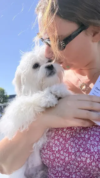 Winston