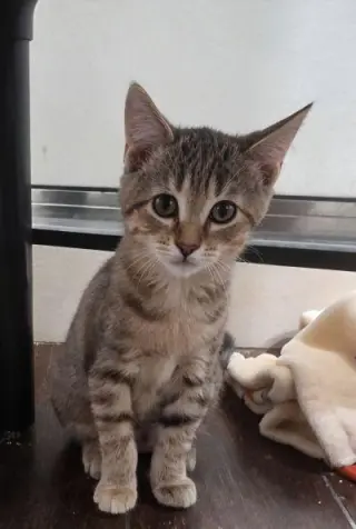 Ellie