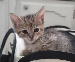 Ellie