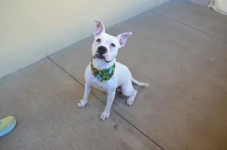 Casper