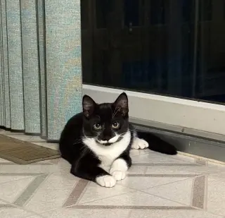 Sabrina