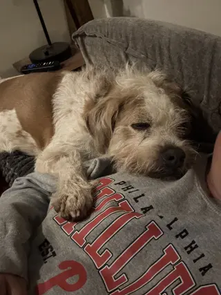 Gunner