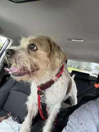 Gunner