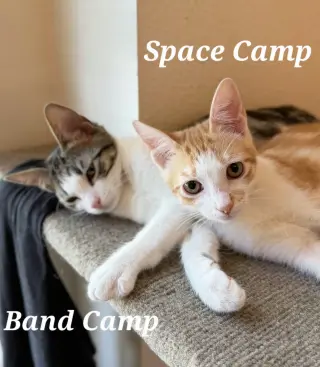 Space Camp
