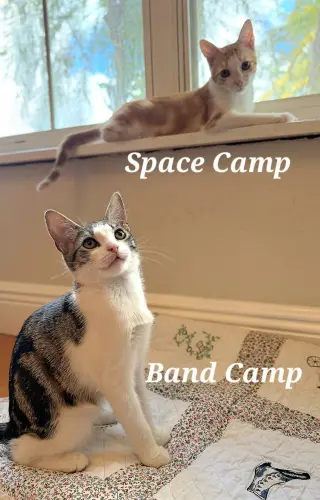 Band Camp