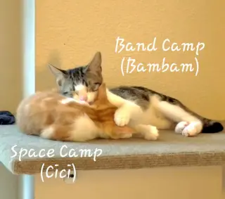 Band Camp