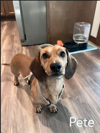 Pete