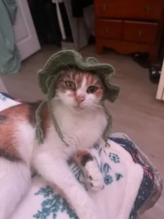 Geraldine