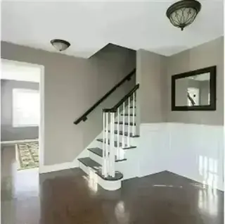 MAGIC TOUCH PAINT