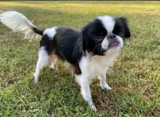 Bitsy in LA