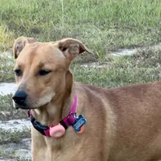 Max