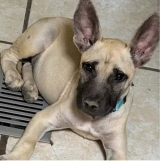 Maggie