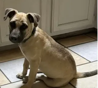 Maggie