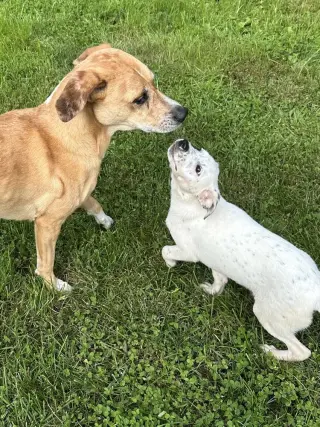 Fiona