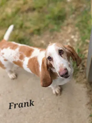 Frank