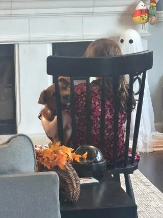 Kail